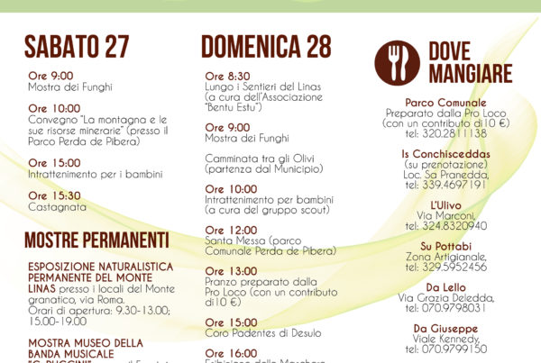 Festa della Montagna Gonnosfanadiga