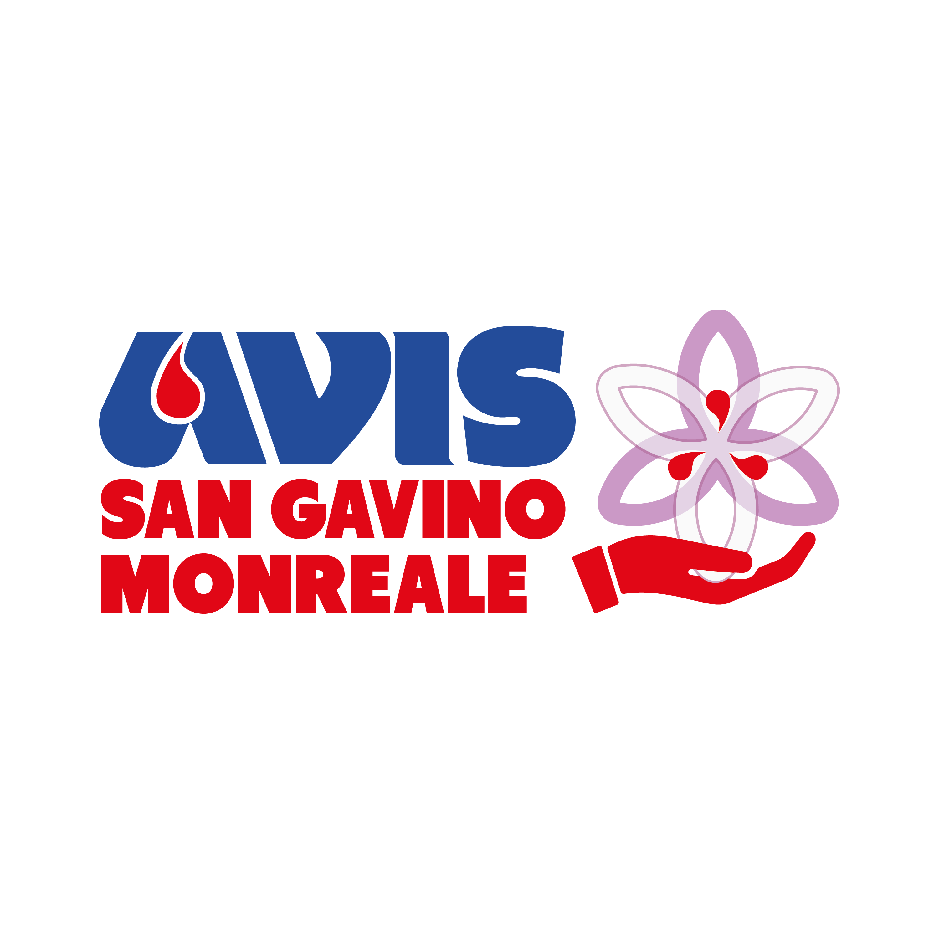 Logo AVIS 2019